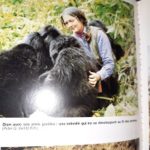 NYIRAMACIBIRI Dite Dian Fossey Et Les Gorilles XIV
